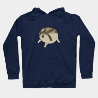 Desert rain frog Hoodie